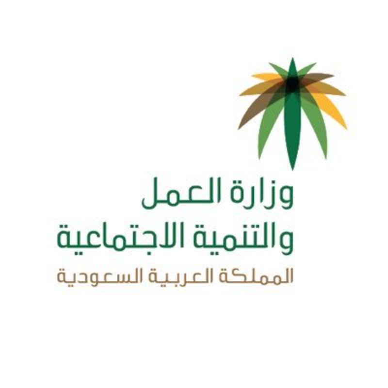 العمل : برنامج "دعم التوظيف" يستهدف تدريب السعوديين خارج المملكة