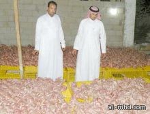 إحباط توزيع 7 آلاف دجاجة فاسدة لمكة وجدة وبحرة 