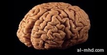 اكتشاف علمى كبير يساهم فى علاج أشد أمراض المخ ضراوة