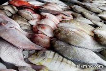 "حماية المستهلك" تتهم الجمارك بتسهيل دخول الأسماك والأغذية الفاسدة