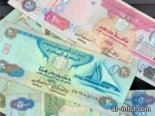 18.4 مليار درهم حجم الاستثمارات الإماراتية في مصر