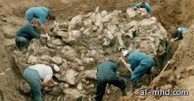 عمال بناء يعثرون على مقبرة جماعية لجنود فى فيتنام 
