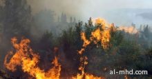 حرائق الغابات فى سيبيريا تلتهم أكثر من 900 هيكتار