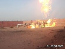 الحكومة المصرية توقف تدفق الغاز إلى إسرائيل