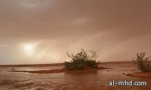 أجواء أوروبية وامطار غزيرة على منطقة الرياض 
