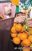 أمير منطقة المدينة المنورة يرعى حفل افتتاح المهرجان الأول للحمضيات بمحافظة العلا