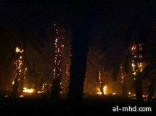 ثلاث وحدات من الدفاع المدني تكافح حريق في مزرعة نخيل بمركز الصلحانية 