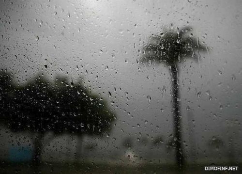 "الأرصاد": فرصة لهطول الأمطار على 7 مناطق خلال اليومين القادمين