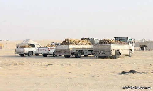 "أمن الطرق" يضبط عددًا من الشاحنات والمركبات المحملة بالحطب المحلي وقائديها