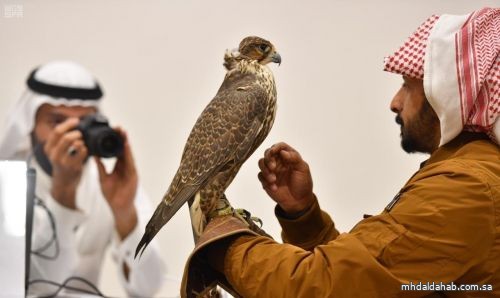 مهرجان الملك عبد العزيز للصقور ينطلق غداً