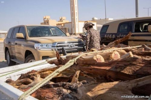 القوات الخاصة للأمن البيئي تضبط 90 طناً من الحطب المحلي المعد للبيع في مدينة الرياض