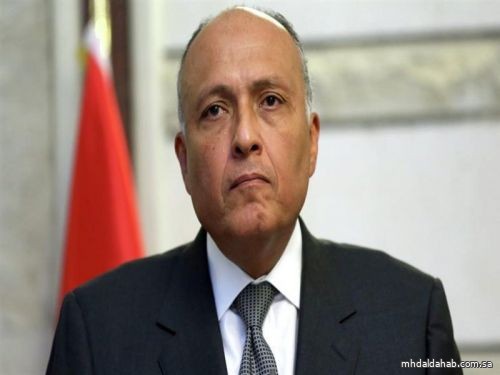 مصر توقع على البيان التاريخي لقمة العلا