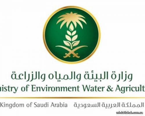 "البيئة" تعلن أسماء المتقدمين على 170 وظيفة وتدعوهم لمقابلة شخصية