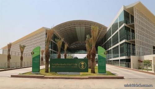 بالأسماء.. "البيئة" تدعو 97 مقبولًا على وظائفها لاستكمال إجراءات التعاقد
