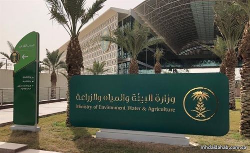 "البيئة" تدعو 47 متقدماً على وظائفها لاستكمال مسوغات التعاقد