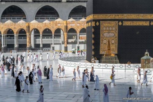 نائب وزير الحج والعمرة: اتخذنا إجراءات استباقية ستسهم في زيادة عدد المعتمرين
