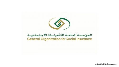 التأمينات عن حصيلة دعم العاملين السعوديين في "الخاص": 6 مليارات ريال