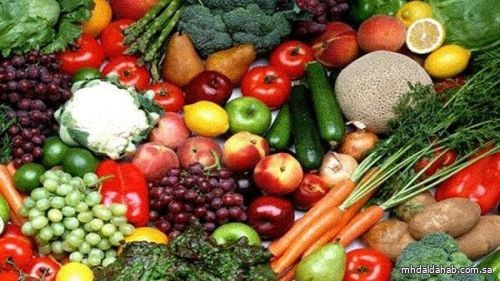 "البيئة" و "الغذاء والدواء" :المنتجات الزراعية المستوردة تخضع لمعايير مشددة لضمان سلامتها