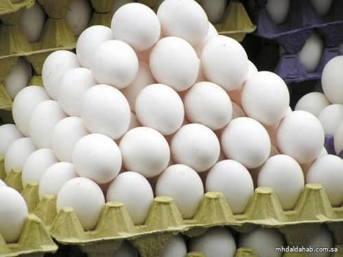 "الغذاء والدواء" تستطلع الرأي في مشروع تعديل فترة صلاحية "بيض المائدة"