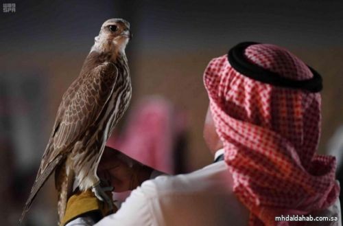 في اليوم العالمي للبيئة .. نادي الصقور السعودي يسجل نموذجاً ملهماً عبر إعادة الطيور لمواطنها