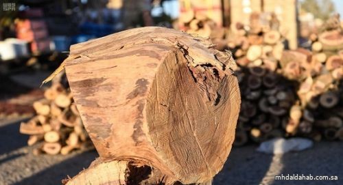ضبط مخالفين لنظام البيئة لبيعهم حطبًا محليًا لأغراض تجارية