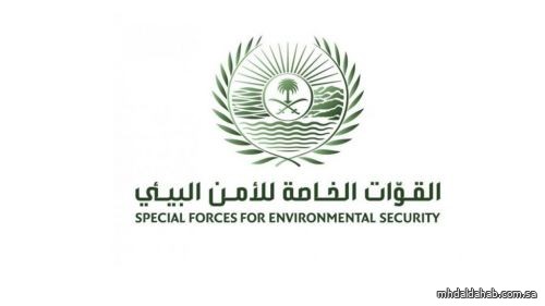 “الأمن البيئي” يضبط مخالفًا لنظام البيئة يقوم بنقل الرمال وتجريف التربة