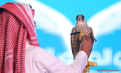 انطلاق المزاد الدولي لمزارع إنتاج الصقور 5 أغسطس المقبل
