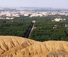 المخططات السكنية.. خطر يهدد "نخيل الواحة"