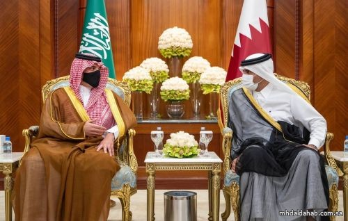 وزير الداخلية يصل إلى قطر في زيارة رسمية