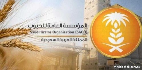 "الحبوب": بدء صرف الدفعة الـ"11" لمزارعي القمح بقيمة 42.5 مليون ريال