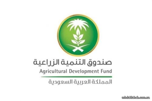 "التنمية الزراعية": دعم إنتاج الفحم من المخلفات الزراعية يصل إلى 70%.. وهذه طريقة الحصول عليه