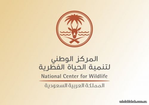 الحياة الفطرية: باشرنا 589 بلاغاً في الربع الثالث من العام الجاري