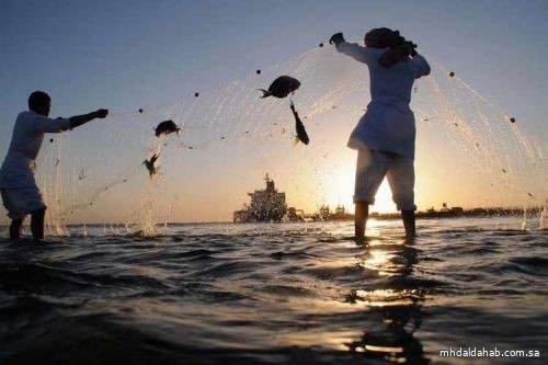 "البيئة": تسجيل 43% من ممارسي مهنة صيد الأسماك في برامج المهن الحرة