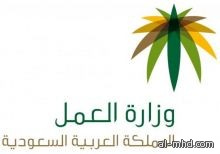 العمل : الإجازة الأسبوعية للعمالة المنزلية لا تعني الخروج من المنزل