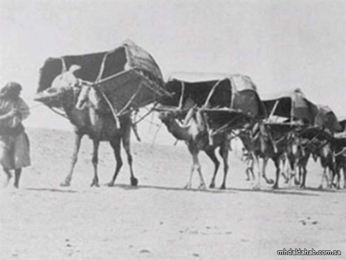 "النقل" توضح كم كانت تستغرق رحلات سفر القوافل بين مناطق المملكة والكويت