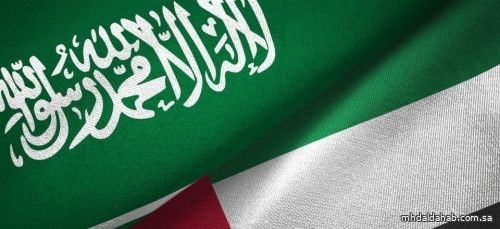 الإمارات: أمننا وأمن السعودية كلّ لا يتجزأ