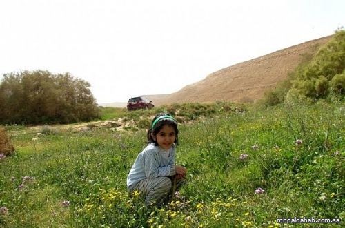 بداية فصل الربيع 2022 فلكياً.. اليوم