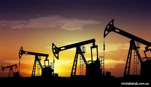 الإمارات: نحاول رفع إنتاجنا النفطي إلى 5 ملايين برميل ولا نخطط للخروج من أوبك+