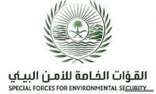القوات الخاصة للأمن البيئي تضبط (14) مخالفًا لنظام البيئة لارتكابهم مخالفات رعي