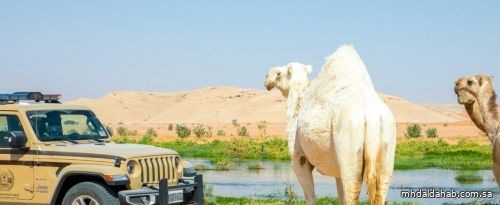 ضبط 6 مواطنين و7 مقيمين مخالفين لنظام البيئة