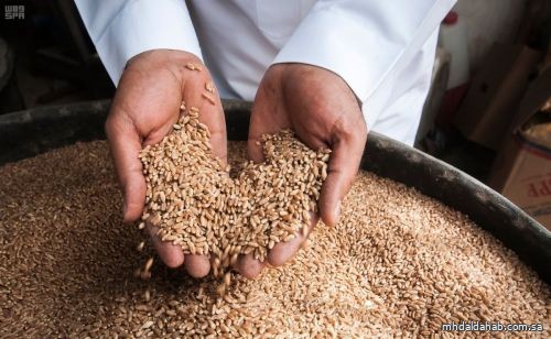 المؤسسة العامة للحبوب تطرح المناقصة الخامسة لاستيراد 535 ألف طن من القمح