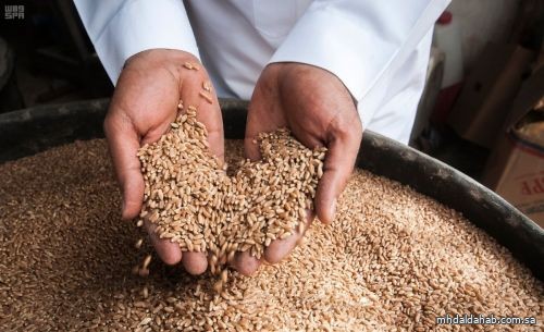 المؤسسة العامة للحبوب تنهي ترسية مناقصة القمح الخامسة لعام 2022