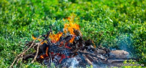 ضبط (13) مخالفًا لنظام البيئة لإشعالهم النار في غير الأماكن المخصصة لها