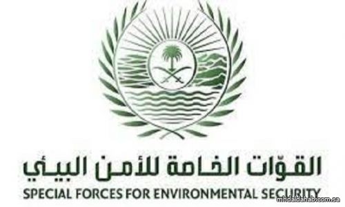 القوات الخاصة للأمن البيئي تضبط 15 مخالفًا لنظام البيئة لاستخدامهم حطبًا وفحمًا محليين في أنشطة تجارية