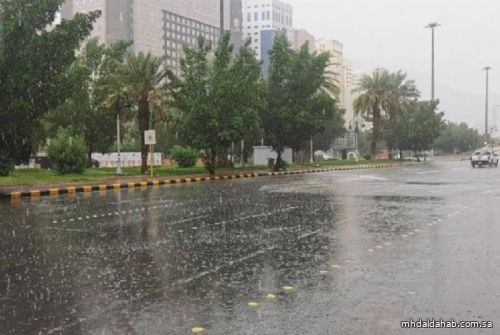 طقس اليوم.. أمطار متوسطة إلى غزيرة تشمل معظم المناطق مع زخات برد وجريان للسيول