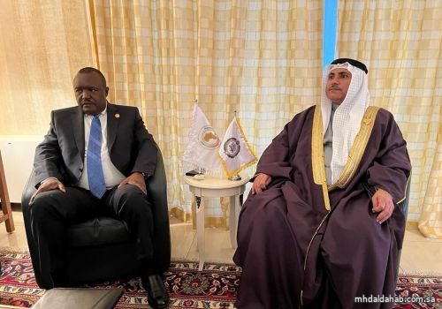 رئيس البرلمان العربي ورئيس برلمان أفريقيا يبحثان مجالات التعاون والتنسيق في المحافل الدولية