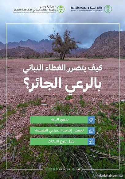 "البيئة" تحذر من الرعي الجائر وتحث على تعزيز الوعي المجتمعي للحفاظ على الغطاء النباتي