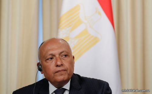 وزير الخارجية المصري يتوجه إلى سوريا وتركيا.. غداً