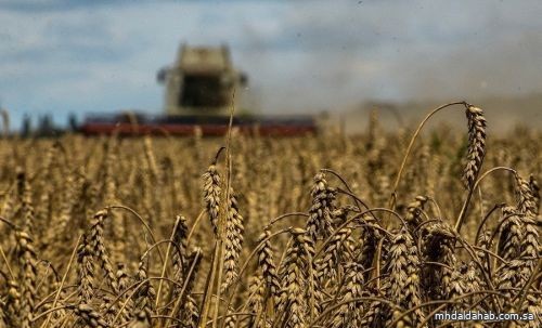 روسيا تعلن أنها وافقت على تمديد اتفاقية تصدير الحبوب الأوكرانية 60 يوماً