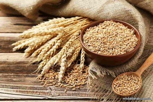 "سالك" تورّد 30% من احتياج المملكة من القمح في 2022
